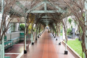 ini pas malem, lampu kecil-kecil nyala jadi baguss banget.