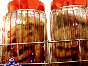 fbwp3 kalau udah jadi, masukin ke stoples yang lucu, jadi cookie jar deh.